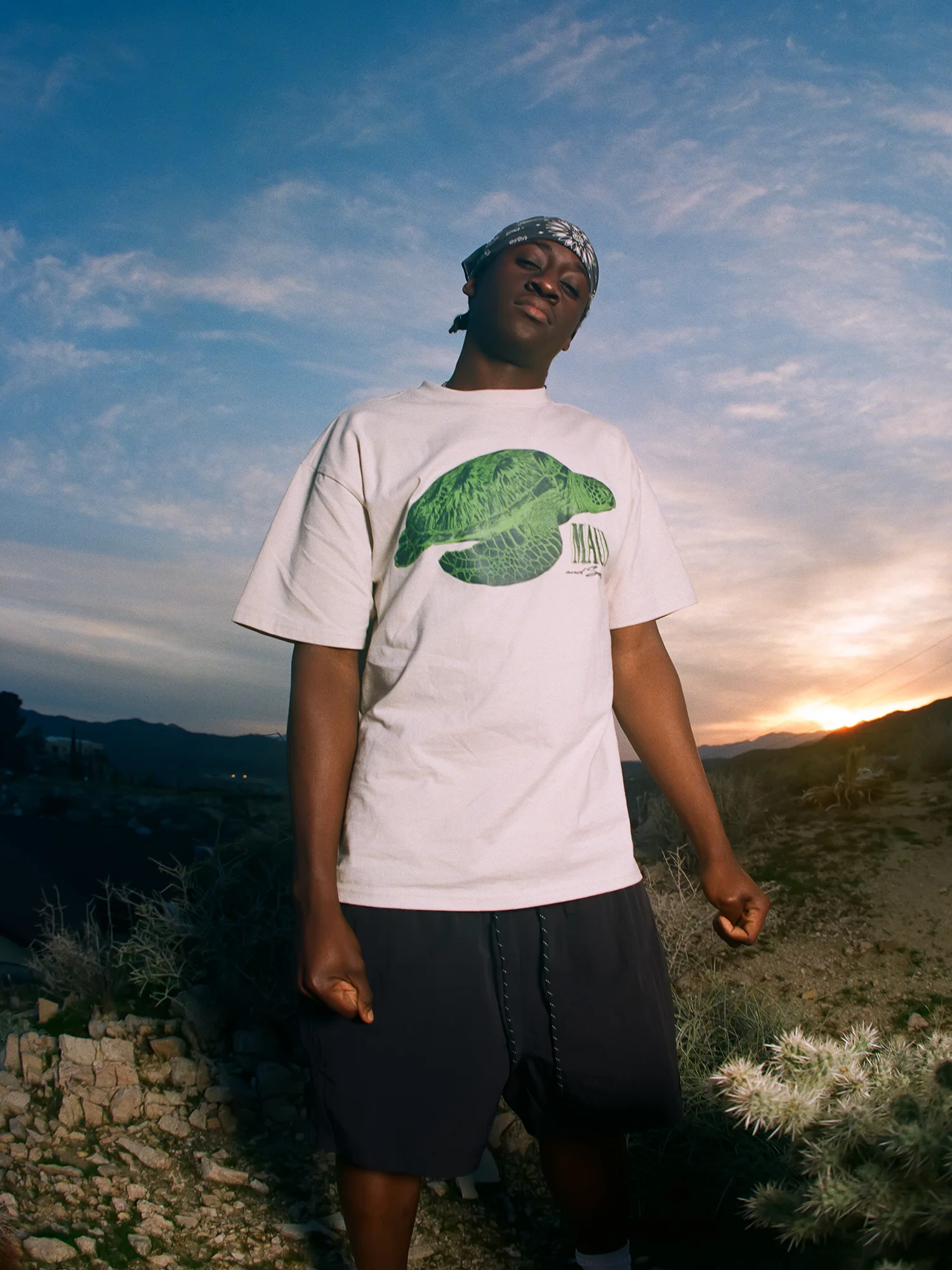 Sea Turtle T-Shirt - Image 6